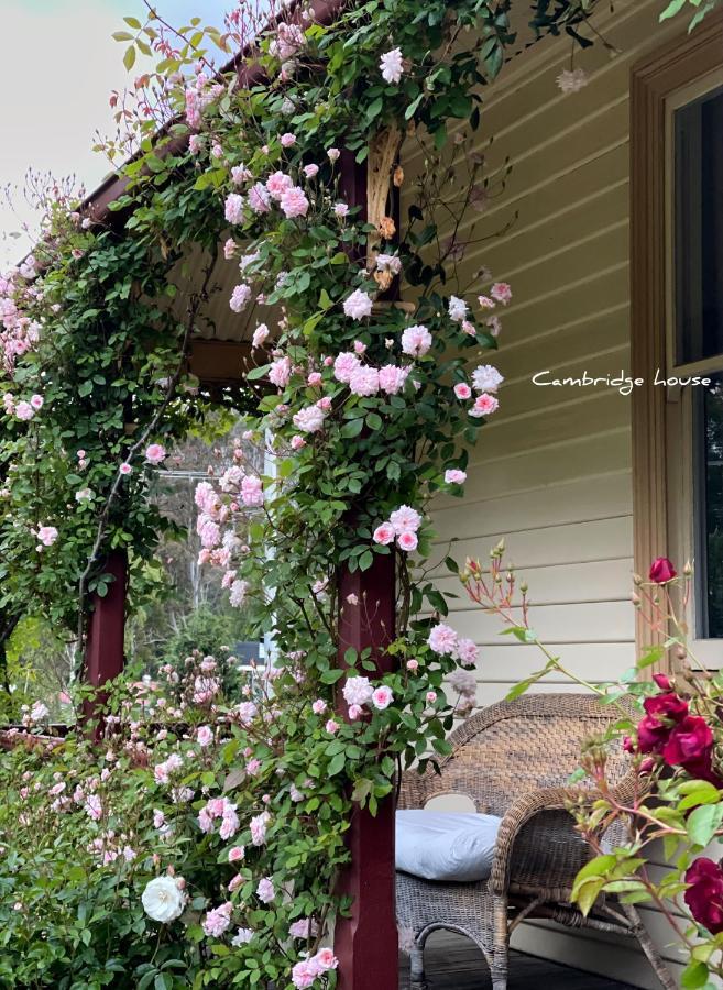 Cambridge House Breakfast & Bed Bed & Breakfast Geeveston Ngoại thất bức ảnh