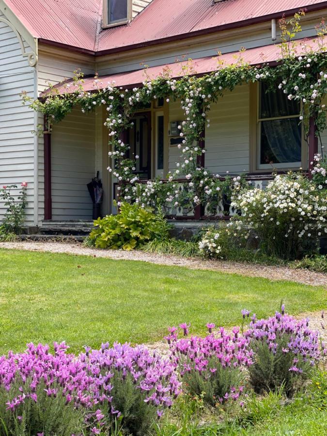 Cambridge House Breakfast & Bed Bed & Breakfast Geeveston Ngoại thất bức ảnh